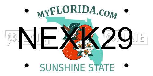 NEXK29 Florida License Plate