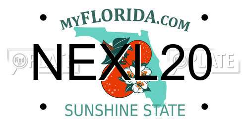 NEXL20 Florida License Plate