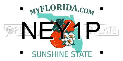 NEY1P Florida License Plate