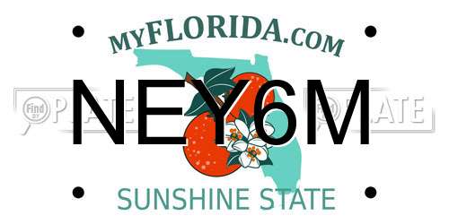 NEY6M Florida License Plate