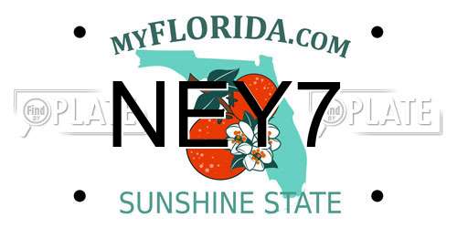 NEY7 Florida License Plate