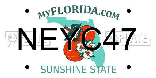 NEYC47 Florida License Plate