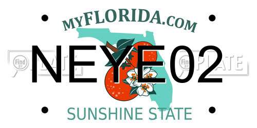 NEYE02 Florida License Plate