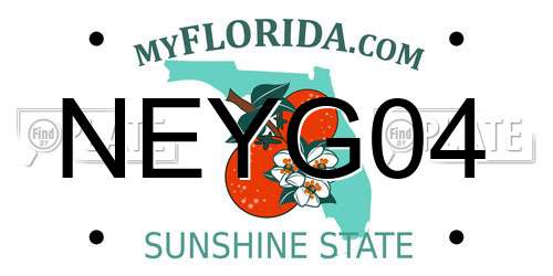 NEYG04 Florida License Plate
