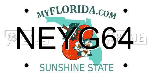NEYG64 Florida License Plate