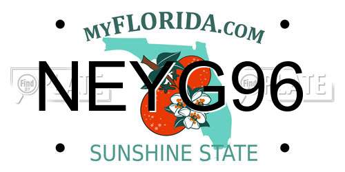NEYG96 Florida License Plate