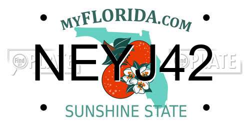 NEYJ42 Florida License Plate