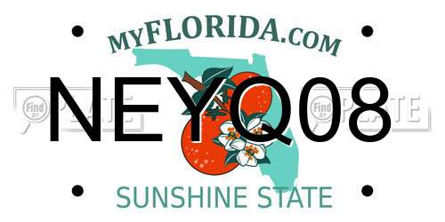 NEYQ08 Florida License Plate