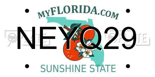 NEYQ29 Florida License Plate
