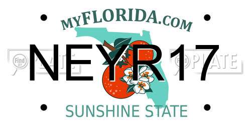 NEYR17 Florida License Plate