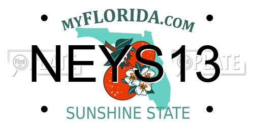 NEYS13 Florida License Plate