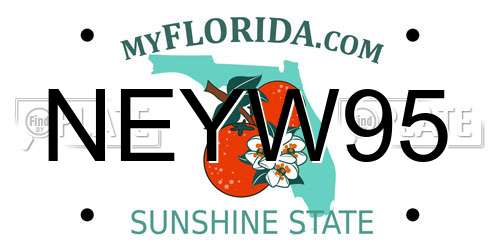 NEYW95 Florida License Plate