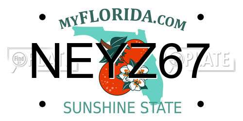 NEYZ67 Florida License Plate