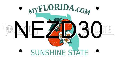 NEZD30 Florida License Plate