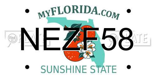 NEZF58 Florida License Plate
