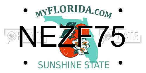 NEZF75 Florida License Plate