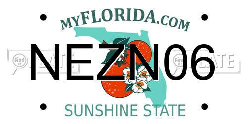 NEZN06 Florida License Plate