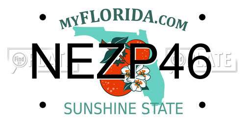 NEZP46 Florida License Plate