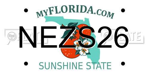 NEZS26 Florida License Plate