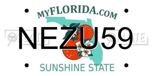 NEZU59 Florida License Plate