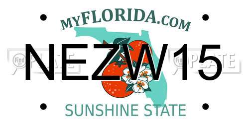 NEZW15 Florida License Plate