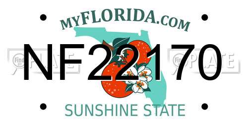 NF22170 Florida License Plate
