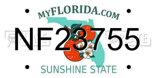 NF23755 Florida License Plate