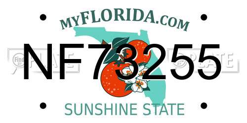 NF73255 Florida License Plate
