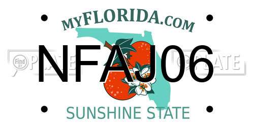 NFAJ06 Florida License Plate