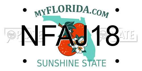 NFAJ18 Florida License Plate