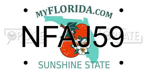 NFAJ59 Florida License Plate