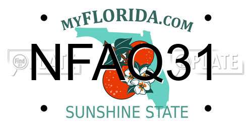 NFAQ31 Florida License Plate