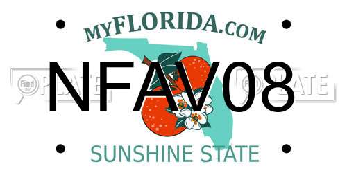 NFAV08 Florida License Plate