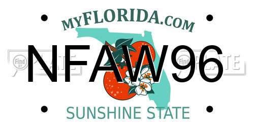 NFAW96 Florida License Plate