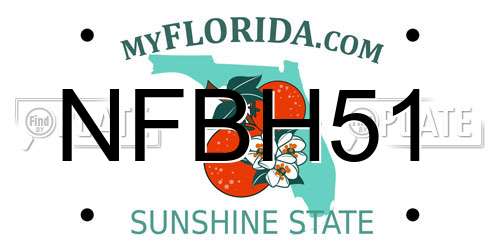 NFBH51 Florida License Plate