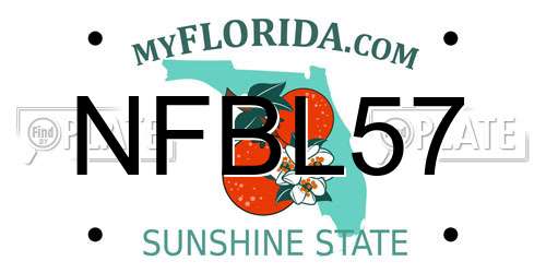 NFBL57 Florida License Plate