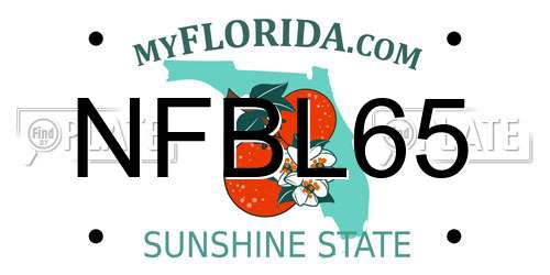 NFBL65 Florida License Plate