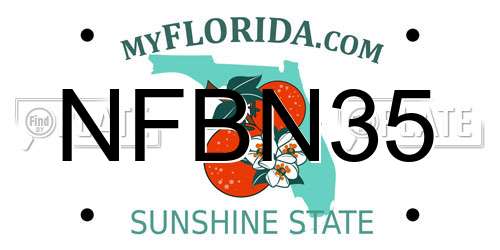 NFBN35 Florida License Plate