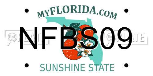 NFBS09 Florida License Plate