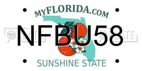 NFBU58 Florida License Plate