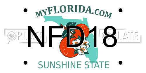 NFD18 Florida License Plate