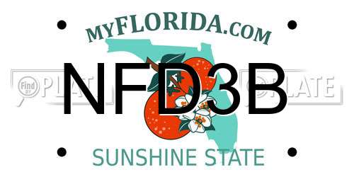 NFD3B Florida License Plate