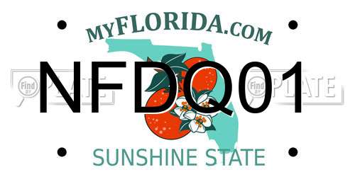 NFDQ01 Florida License Plate
