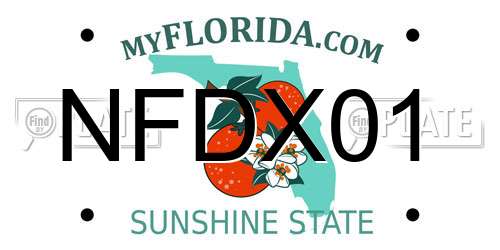 NFDX01 Florida License Plate