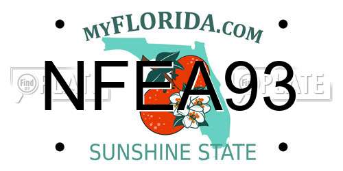 NFEA93 Florida License Plate