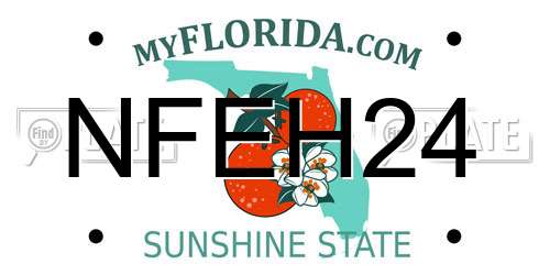NFEH24 Florida License Plate