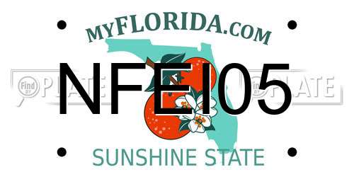 NFEI05 Florida License Plate