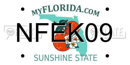 NFEK09 Florida License Plate