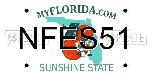 NFES51 Florida License Plate