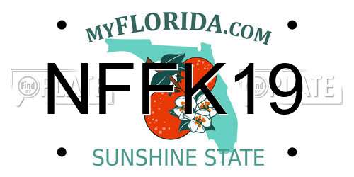 NFFK19 Florida License Plate